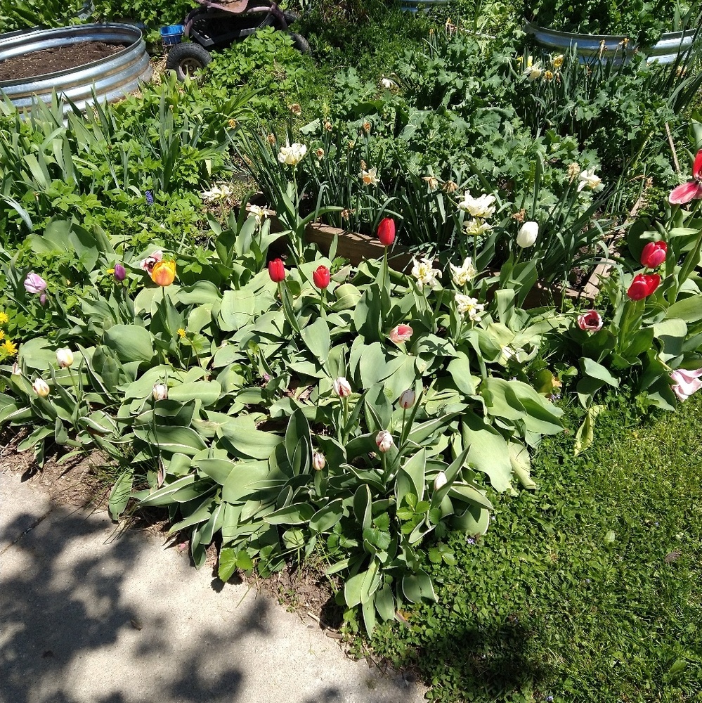 Feel free to make an offer!